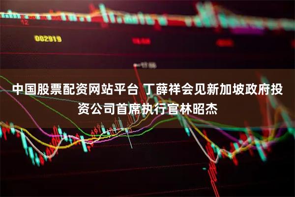 中国股票配资网站平台 丁薛祥会见新加坡政府投资公司首席执行官林昭杰