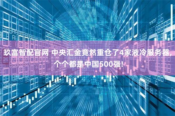 玖富智配官网 中央汇金竟然重仓了4家液冷服务器, 个个都是中国500强!