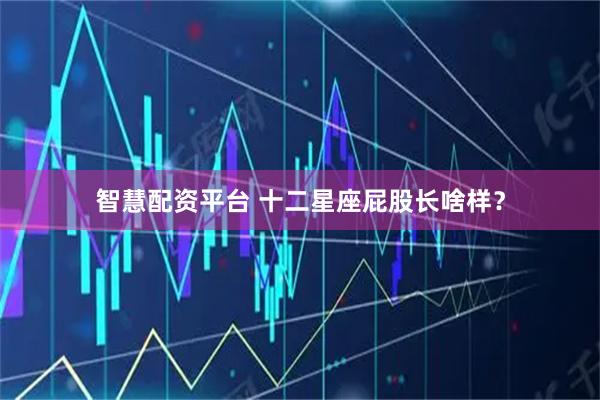 智慧配资平台 十二星座屁股长啥样？